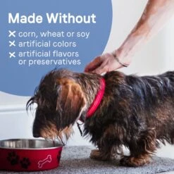 CANIDAE PURE Petite Protein Shreds Of Real Chicken Recipe In Gravy Dog Food Topper, 8.4-oz Box 15 CANIDAE PURE Petite Protein Shreds Of Real Chicken Recipe In Gravy Dog Food Topper, 8.4-oz Box -Blue Buffalo Shop 843110 PT5. AC SS1800 V1683041380