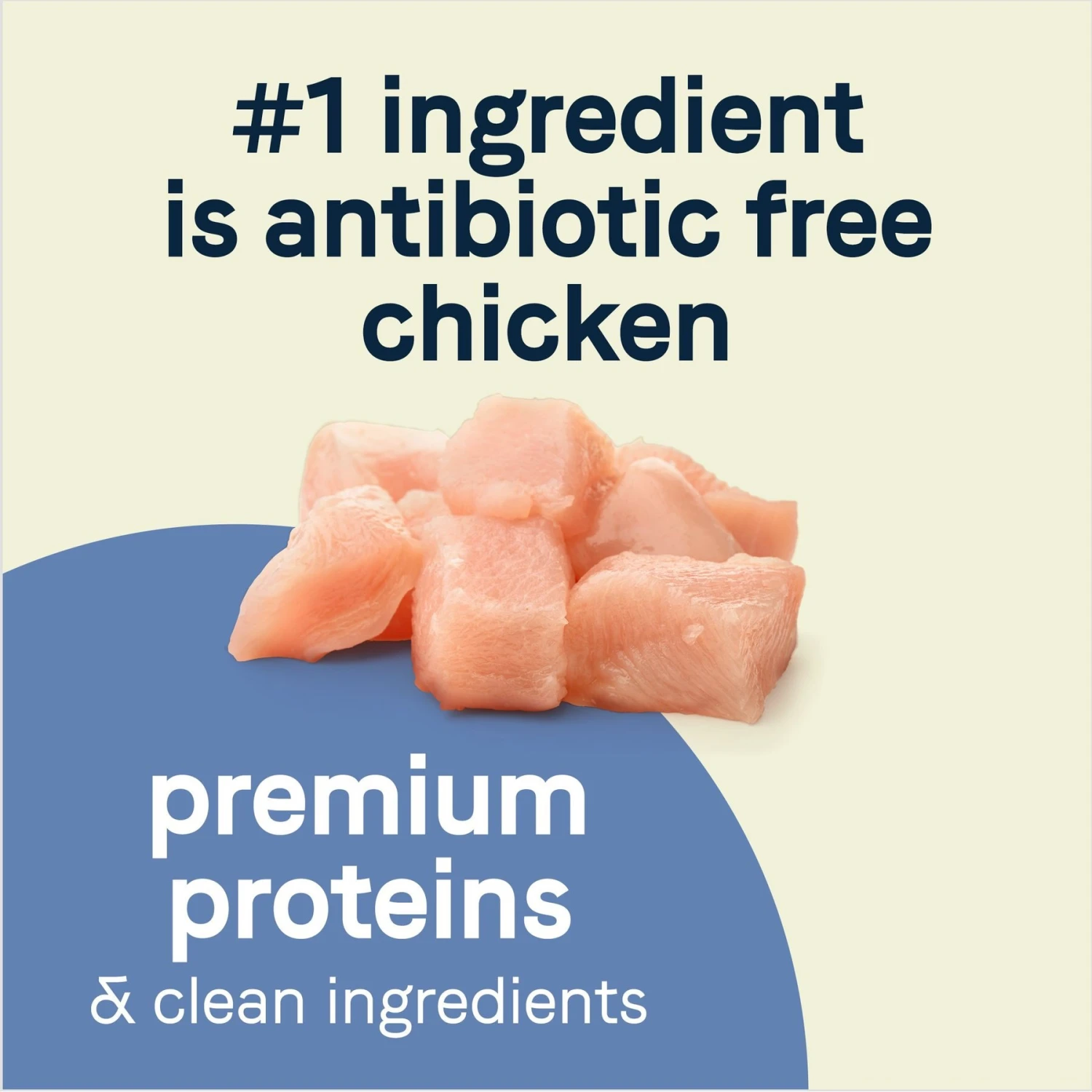 CANIDAE Pure Petite Premium Recipe Chicken & Wholesome Grains Dry Dog Food 5 CANIDAE Pure Petite Premium Recipe Chicken & Wholesome Grains Dry Dog Food - Image 3