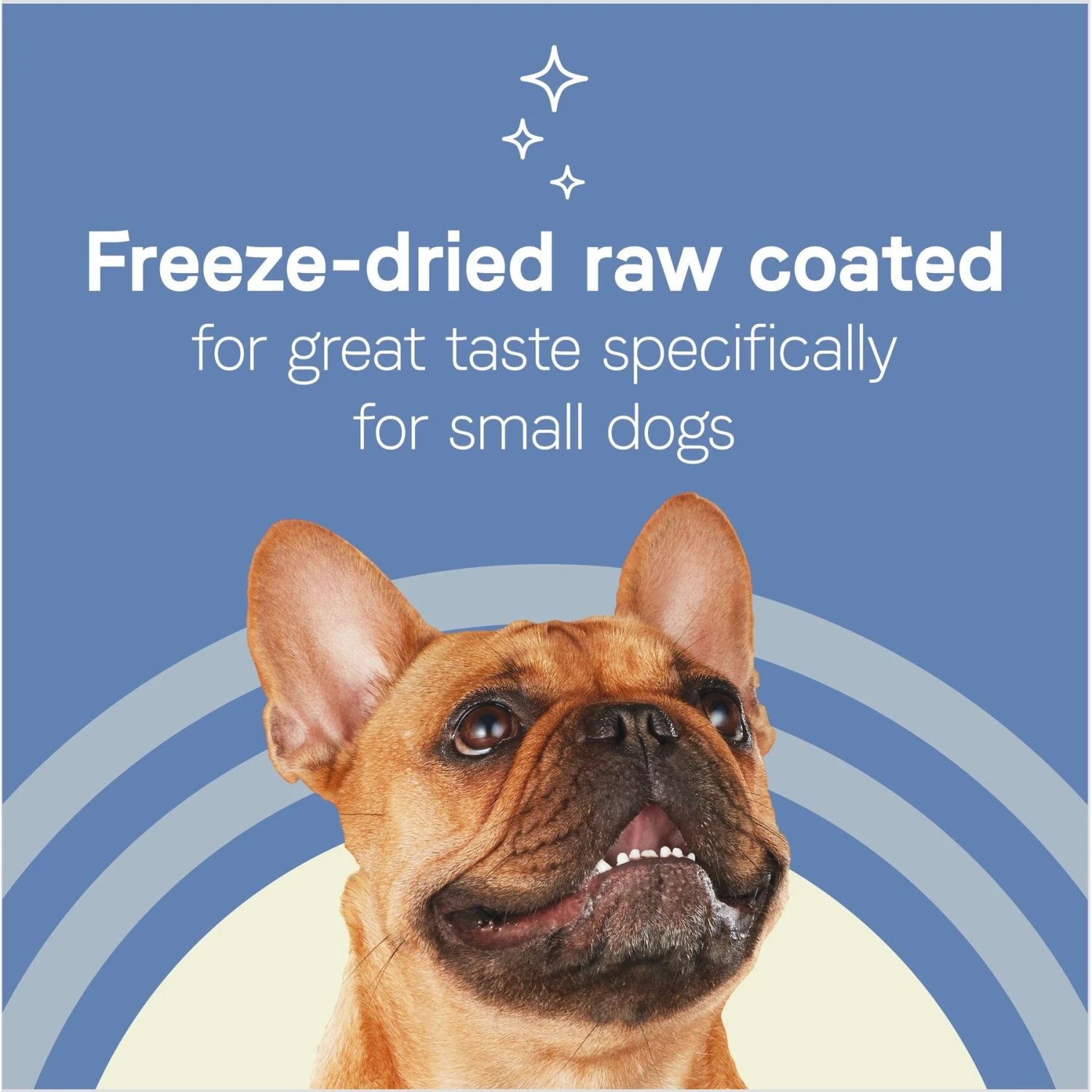 CANIDAE Pure Petite Premium Recipe Chicken & Wholesome Grains Dry Dog Food 7 CANIDAE Pure Petite Premium Recipe Chicken & Wholesome Grains Dry Dog Food - Image 5