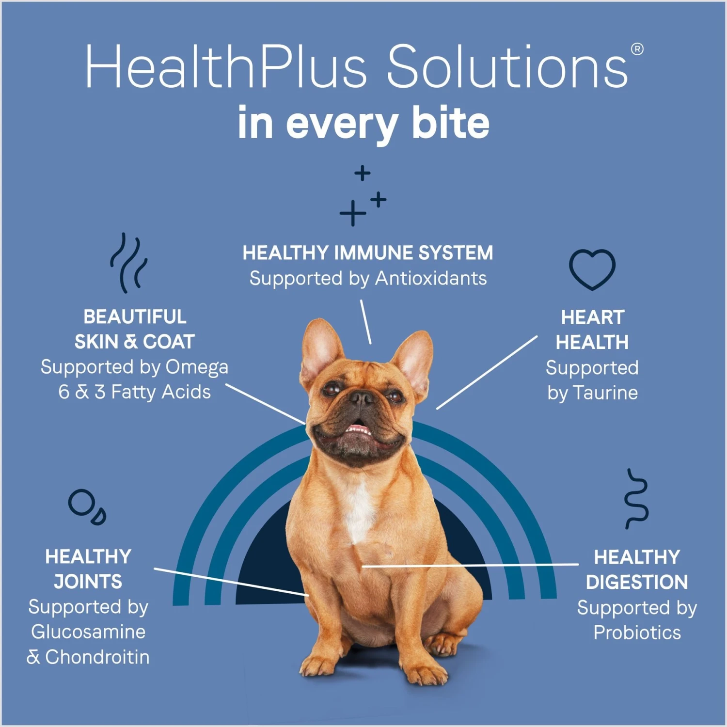 CANIDAE Pure Petite Premium Recipe Chicken & Wholesome Grains Dry Dog Food 8 CANIDAE Pure Petite Premium Recipe Chicken & Wholesome Grains Dry Dog Food - Image 6