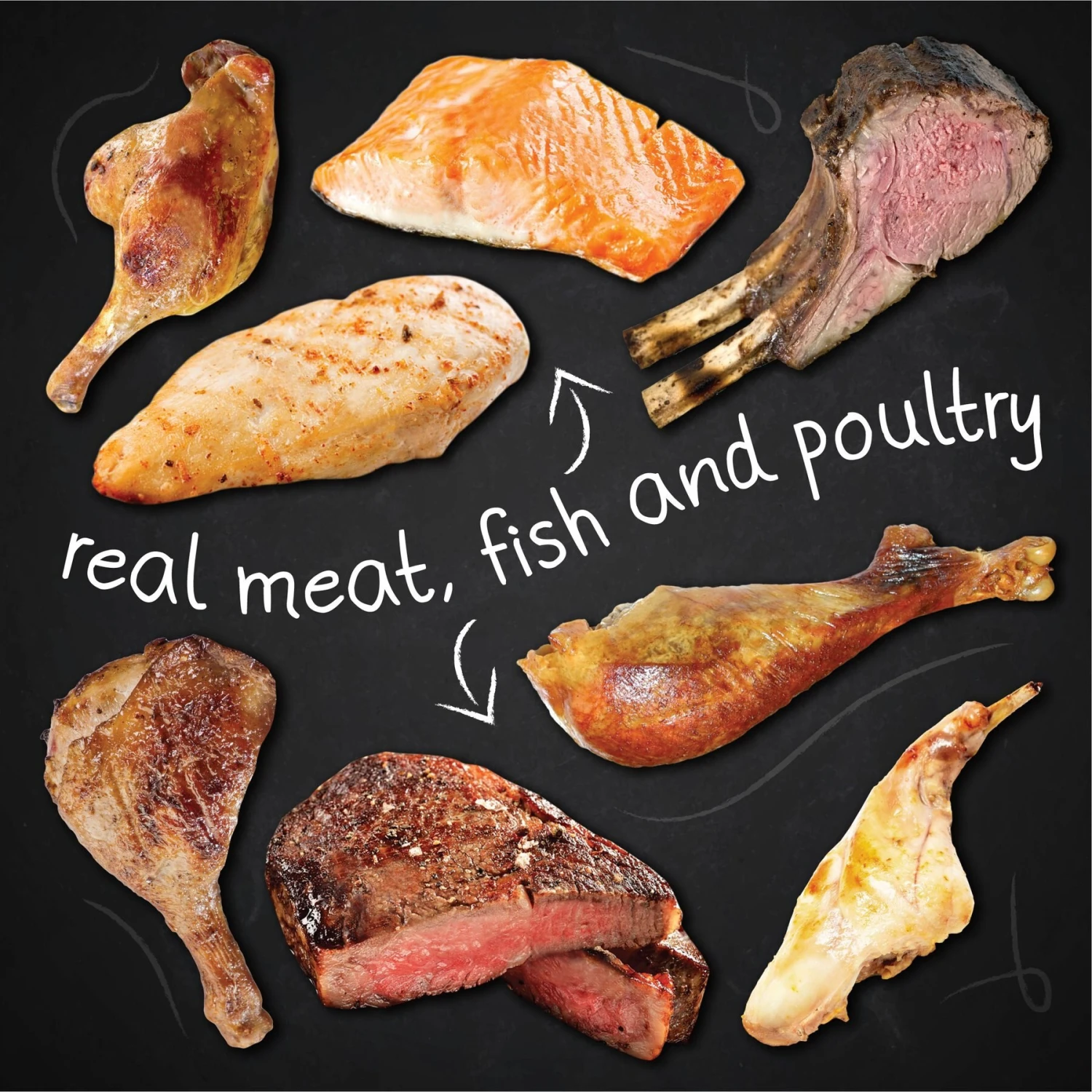 Hound & Gatos Pork & Pork Liver Dog Wet Food, 13-oz Can, 12 Count 6 Hound & Gatos Pork & Pork Liver Dog Wet Food, 13-oz Can, 12 Count - Image 4