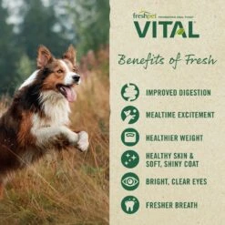 Freshpet Vital Chicken, Beef, Salmon & Egg Recipe Grain-Free Fresh Dog Food, 2 + Freshpet Vital Fresh Cuts Chicken Recipe Fresh Dog Food, 2 19 Freshpet Vital Chicken, Beef, Salmon & Egg Recipe Grain-Free Fresh Dog Food, 2 + Freshpet Vital Fresh Cuts Chicken Recipe Fresh Dog Food, 2 -Blue Buffalo Shop 845654 PT8. AC SS1800 V1682953279
