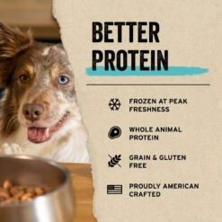 Vital Essentials Protein Mix-In Rabbit Recipe Mini Nibs Grain-Free Freeze-Dried Raw Dog Food Topper -Blue Buffalo Shop 846230 PT3. AC SS1800 V1687962164