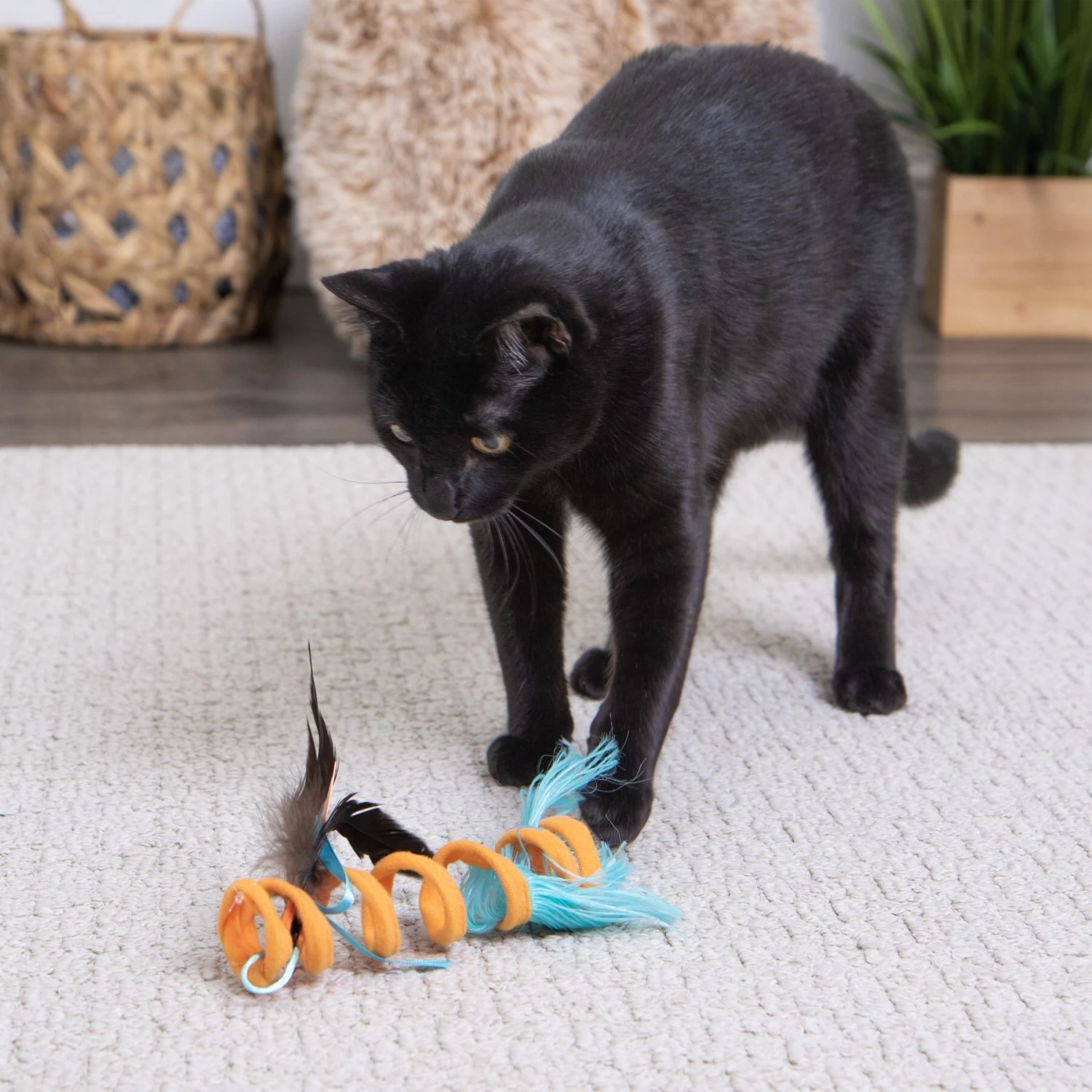SmartyKat Instincts Crazy Coil Springy Cat Toy With Fringe & Detachable Feather Cat Toy 5 SmartyKat Instincts Crazy Coil Springy Cat Toy With Fringe & Detachable Feather Cat Toy - Image 3