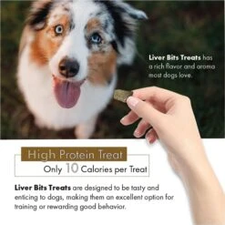 Liver Bits Freeze-Dried Raw Dog Treats, 4-oz Bag -Blue Buffalo Shop 84726 PT3. AC SS1800 V1687360457