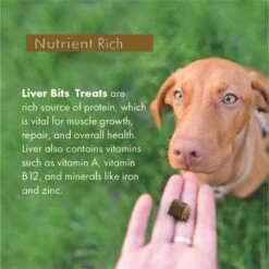 Liver Bits Freeze-Dried Raw Dog Treats, 4-oz Bag -Blue Buffalo Shop 84726 PT6. AC SS1800 V1687360458