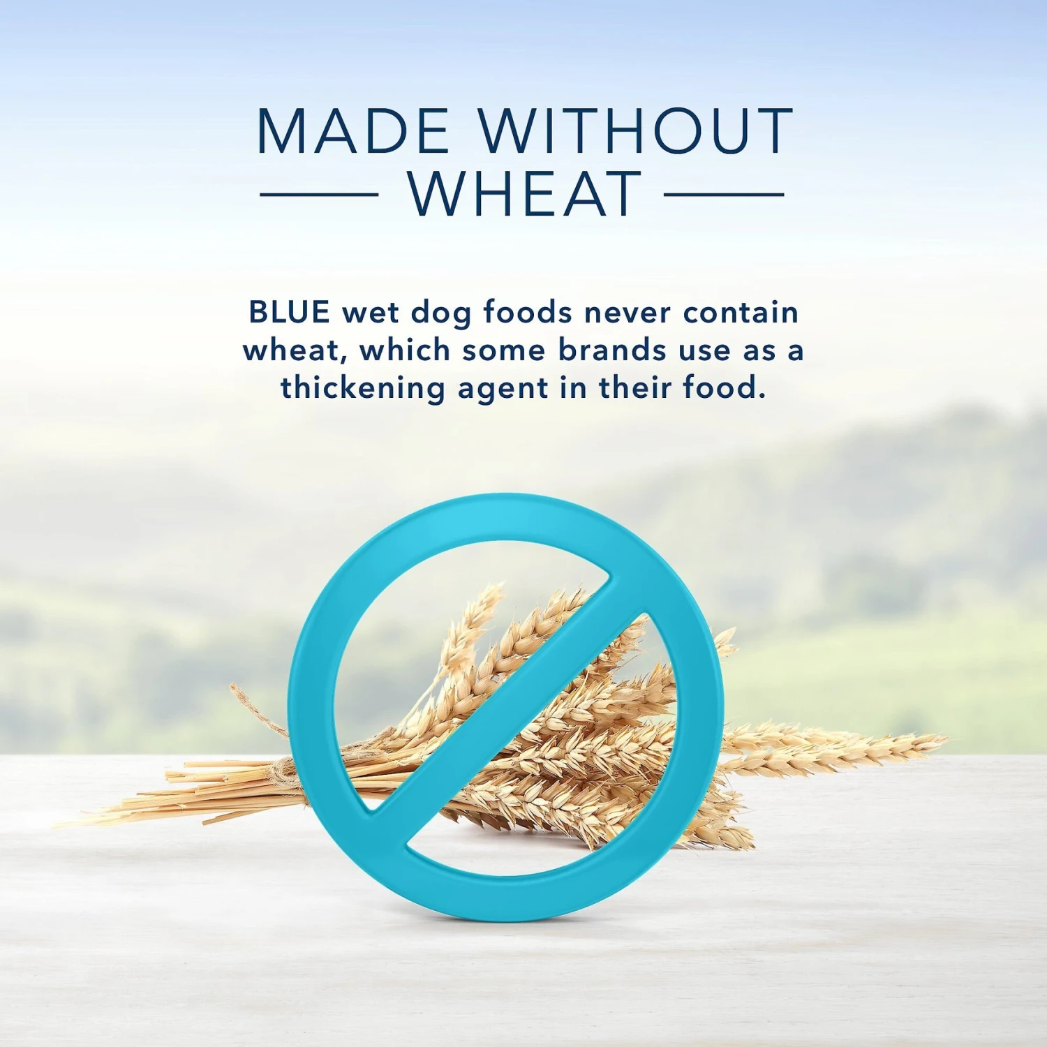 Blue Buffalo Family Favorite Grain-Free Recipes Shepherd's Pie Canned Dog Food 8 Blue Buffalo Family Favorite Grain-Free Recipes Shepherd's Pie Canned Dog Food - Image 6