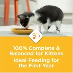 Kitten Chow Nurture Muscle & Brain Development Dry Cat Food & Fancy Feast Tender Feast Variety Pack Canned Kitten Food 19 Kitten Chow Nurture Muscle & Brain Development Dry Cat Food & Fancy Feast Tender Feast Variety Pack Canned Kitten Food -Blue Buffalo Shop 854286 PT8. AC SS1800 V1683743522