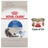 Royal Canin Feline Health Nutrition Indoor Adult Dry Cat Food & Royal Canin Feline Health Nutrition Adult Instinctive Thin Slices In Gravy Canned Cat Food -Blue Buffalo Shop 854350 MAIN. AC SS1800 V1683743696