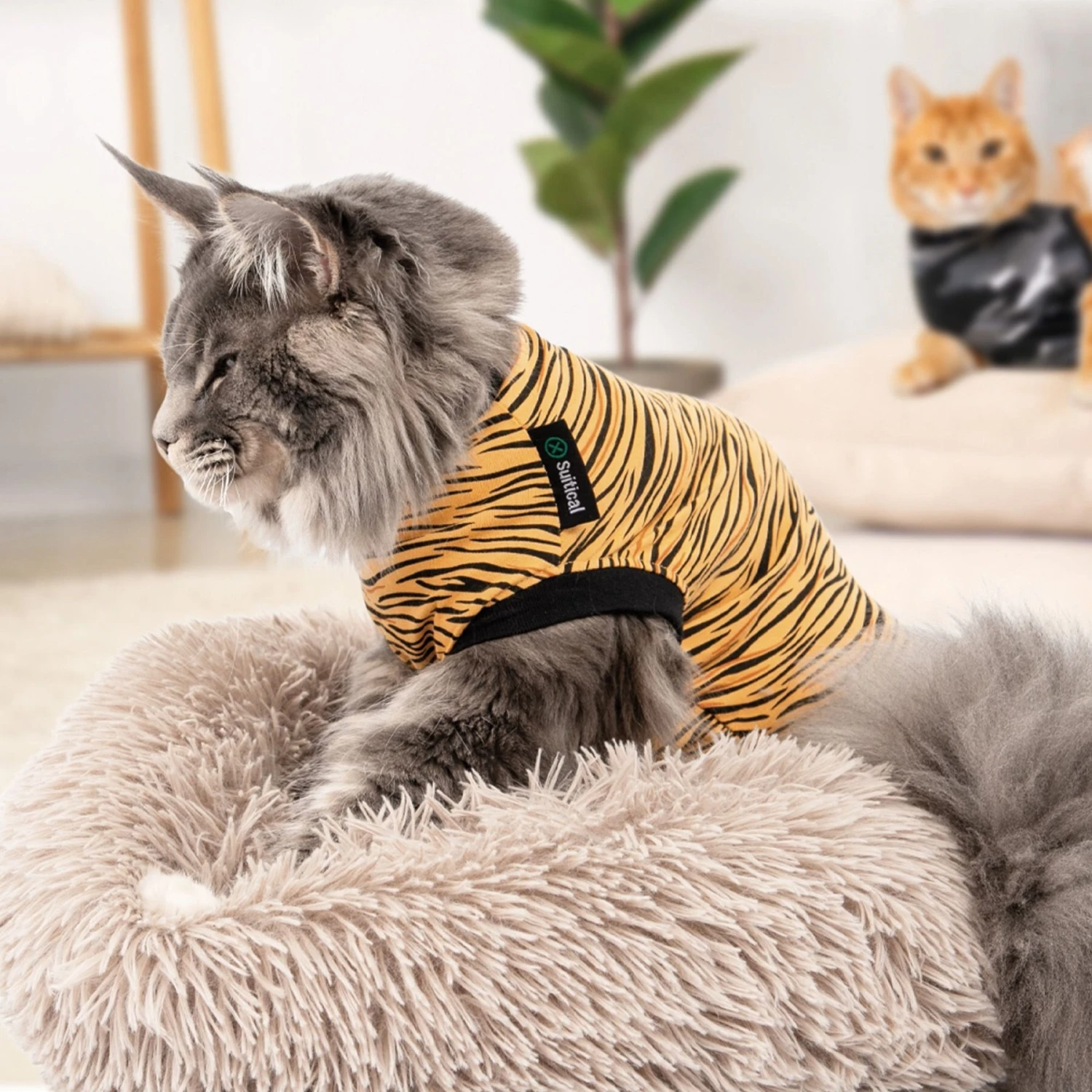 Suitical Recovery Suit Cat Apparel, Tiger Print 4 Suitical Recovery Suit Cat Apparel, Tiger Print - Image 2
