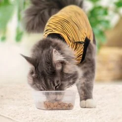 Suitical Recovery Suit Cat Apparel, Tiger Print 13 Suitical Recovery Suit Cat Apparel, Tiger Print -Blue Buffalo Shop 855286 PT2. AC SS1800 V1686669896