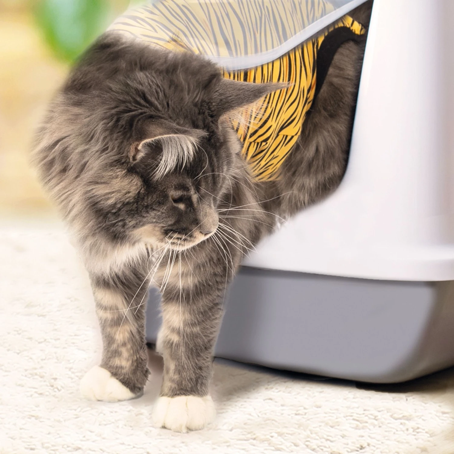 Suitical Recovery Suit Cat Apparel, Tiger Print 6 Suitical Recovery Suit Cat Apparel, Tiger Print - Image 4