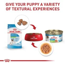Royal Canin Size Health Nutrition X-Small Puppy Dry Dog Food -Blue Buffalo Shop 855830 PT5. AC SS1800 V1683896949