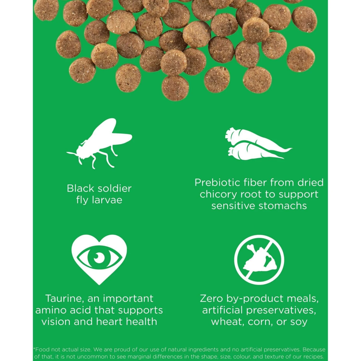 Go! Solutions Sensitivities Limited Ingredient Grain-Free Insect Recipe Dry Dog Food 5 Go! Solutions Sensitivities Limited Ingredient Grain-Free Insect Recipe Dry Dog Food - Image 3