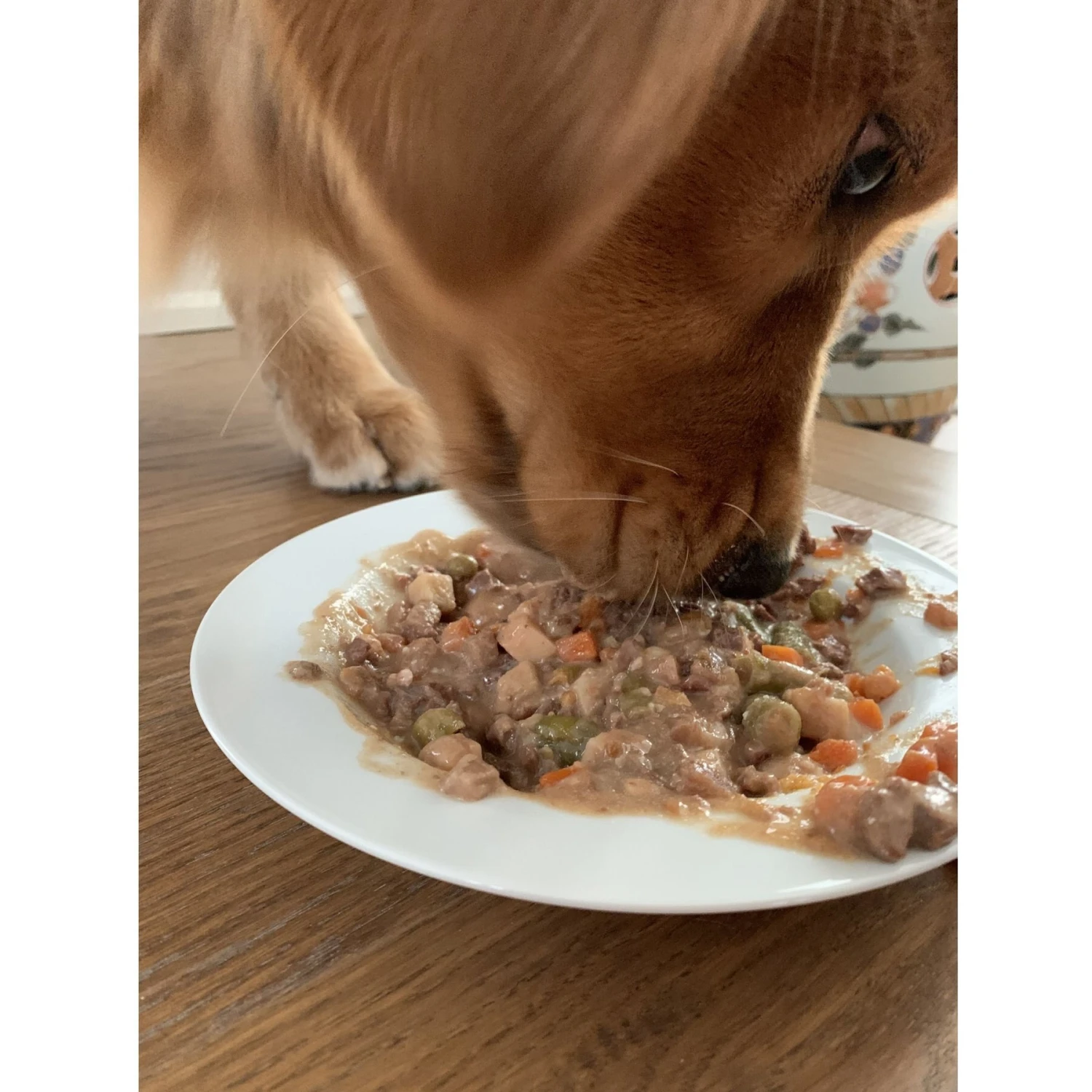 Caru Real Beef Stew Grain-Free Wet Dog Food 7 Caru Real Beef Stew Grain-Free Wet Dog Food - Image 5