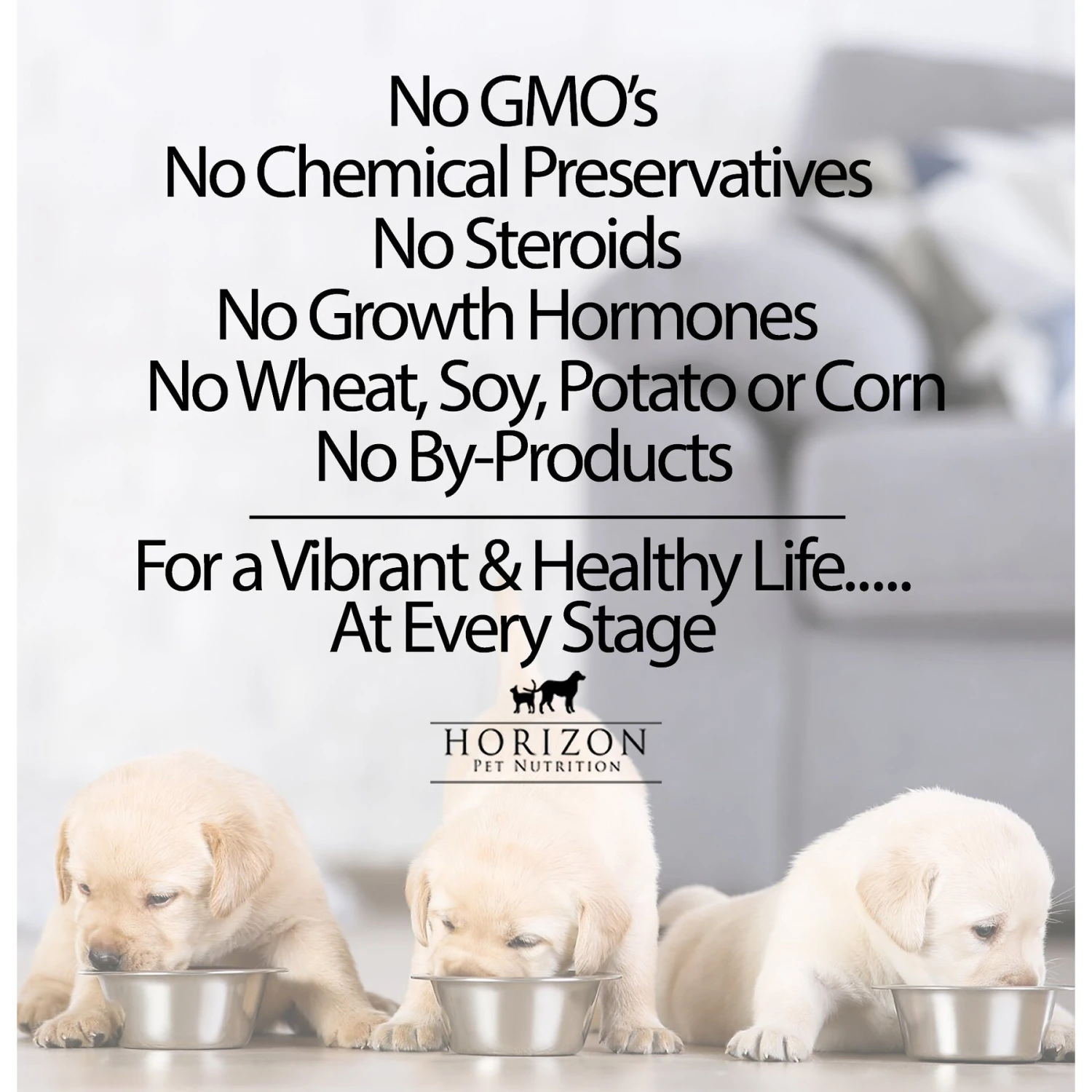 Horizon Pulsar Grain-Free Chicken Recipe Dry Dog Food 8 Horizon Pulsar Grain-Free Chicken Recipe Dry Dog Food - Image 6