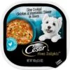 Cesar Home Delights Slow Cooked Chicken & Vegetables Dinner In Sauce Small Breed Adult Wet Dog Food Trays 1 Cesar Home Delights Slow Cooked Chicken & Vegetables Dinner In Sauce Small Breed Adult Wet Dog Food Trays -Blue Buffalo Shop 86033 MAIN. AC SS1800 V1695650082