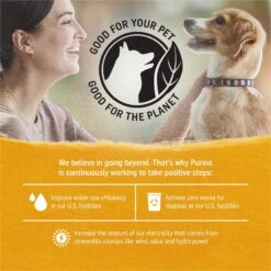 Purina Beyond Chicken, Carrot & Pea Recipe Ground Entrée Grain-Free Canned Dog Food -Blue Buffalo Shop 86220 PT6. AC SS1800 V1700156301