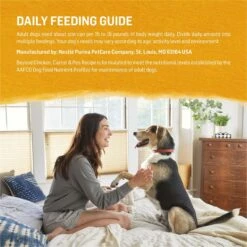 Purina Beyond Chicken, Carrot & Pea Recipe Ground Entrée Grain-Free Canned Dog Food -Blue Buffalo Shop 86220 PT7. AC SS1800 V1700158194