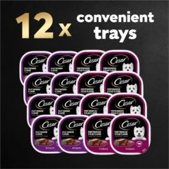 Cesar Classic Loaf In Sauce Filet Mignon & Porterhouse Steak Flavors Variety Pack Grain-Free Small Breed Adult Wet Dog Food Trays 19 Cesar Classic Loaf In Sauce Filet Mignon & Porterhouse Steak Flavors Variety Pack Grain-Free Small Breed Adult Wet Dog Food Trays -Blue Buffalo Shop 86450 PT8. AC SS1800 V1695746025