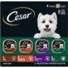Cesar Poultry Variety Pack With Real Chicken, Turkey & Duck Grain-Free Small Breed Adult Wet Dog Food Trays 2 Cesar Poultry Variety Pack With Real Chicken, Turkey & Duck Grain-Free Small Breed Adult Wet Dog Food Trays -Blue Buffalo Shop 86458 MAIN. AC SS1800 V1695650084