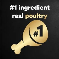 Cesar Poultry Variety Pack With Real Chicken, Turkey & Duck Grain-Free Small Breed Adult Wet Dog Food Trays -Blue Buffalo Shop 86458 PT3. AC SS1800 V1695662246