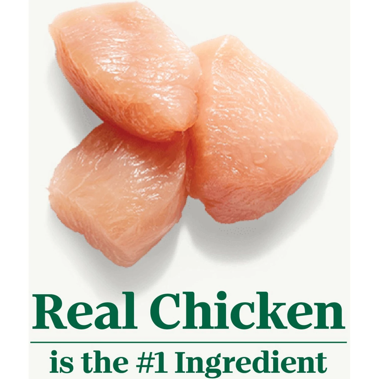 Nutro Wholesome Essentials Hairball Control Chicken & Brown Rice Recipe Adult Dry Cat Food 6 Nutro Wholesome Essentials Hairball Control Chicken & Brown Rice Recipe Adult Dry Cat Food - Image 4