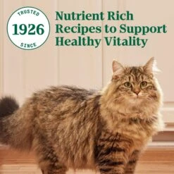 Nutro Wholesome Essentials Hairball Control Chicken & Brown Rice Recipe Adult Dry Cat Food 19 Nutro Wholesome Essentials Hairball Control Chicken & Brown Rice Recipe Adult Dry Cat Food -Blue Buffalo Shop 86768 PT8. AC SS1800 V1702665822