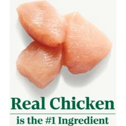 Nutro Wholesome Essentials Chicken & Brown Rice Recipe Senior Dry Cat Food -Blue Buffalo Shop 86792 PT3. AC SS1800 V1702666054