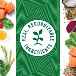 Nutro Wholesome Essentials Adult Salmon & Brown Rice Recipe Dry Cat Food -Blue Buffalo Shop 86818 PT7. AC SS1800 V1702666126