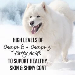 Merrick Backcountry Grain-Free Wet Dog Food 96% Real Chicken Recipe 16 Merrick Backcountry Grain-Free Wet Dog Food 96% Real Chicken Recipe -Blue Buffalo Shop 86945 PT5. AC SS1800 V1636588012