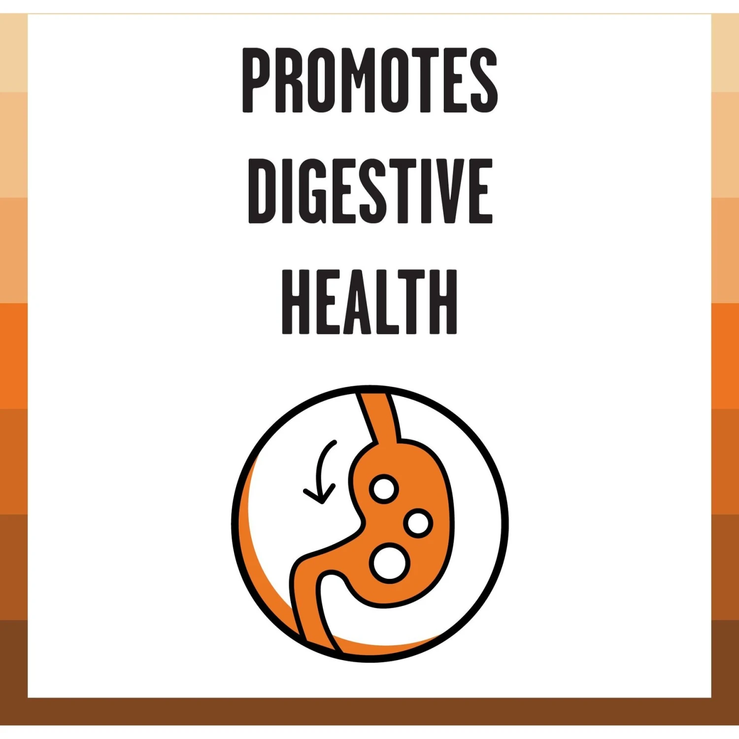 BIXBI Rawbble Dry Food Chicken Recipe For Cats, 10-lb Bag 6 BIXBI Rawbble Dry Food Chicken Recipe For Cats, 10-lb Bag - Image 4