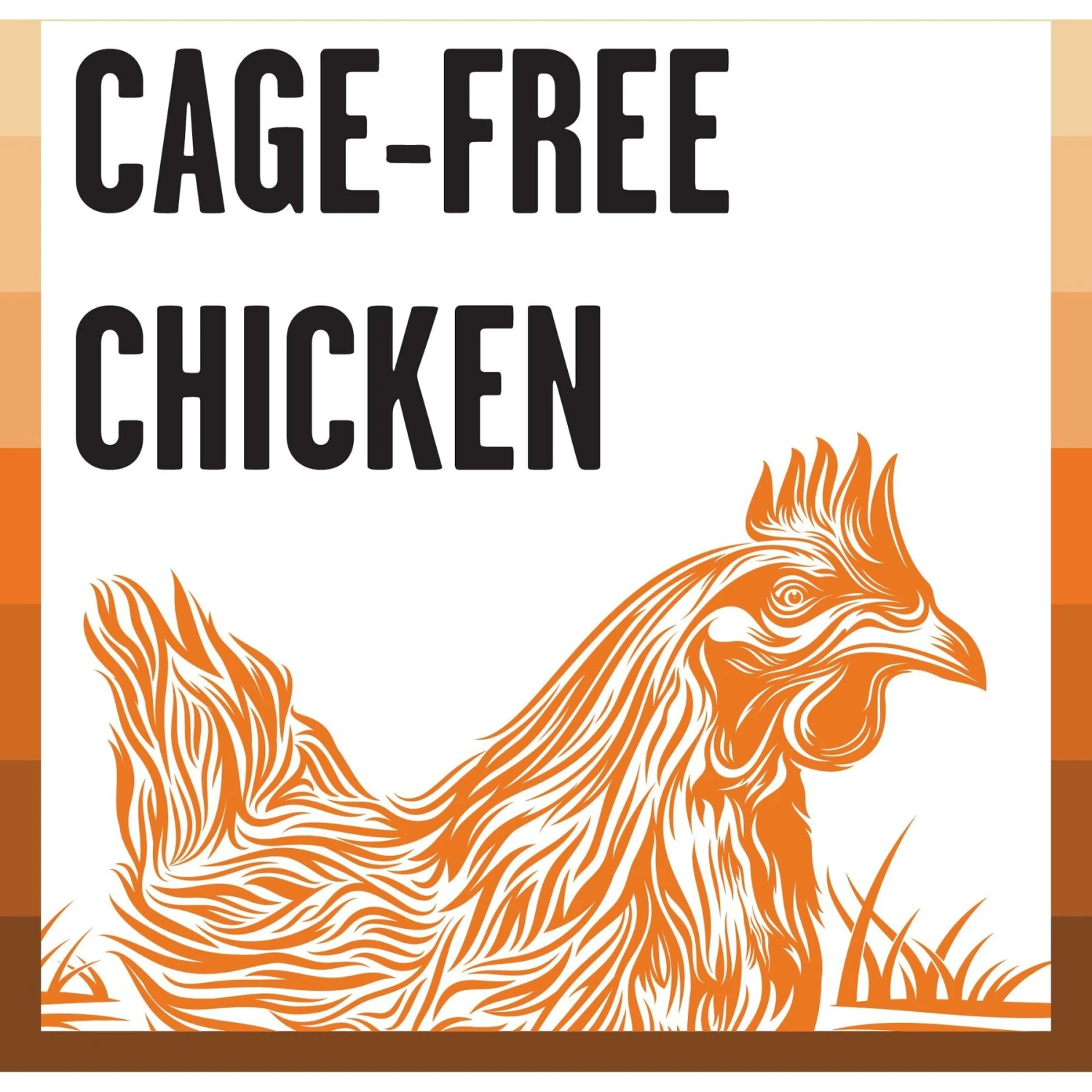 BIXBI Rawbble Dry Food Chicken Recipe For Cats, 10-lb Bag 7 BIXBI Rawbble Dry Food Chicken Recipe For Cats, 10-lb Bag - Image 5