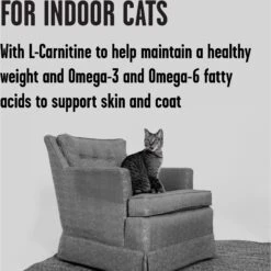 BIXBI Rawbble Dry Food Chicken Salmon Recipe For Indoor Cats, 3-lb Bag 13 BIXBI Rawbble Dry Food Chicken Salmon Recipe For Indoor Cats, 3-lb Bag -Blue Buffalo Shop 870966 PT3. AC SS1800 V1691515657