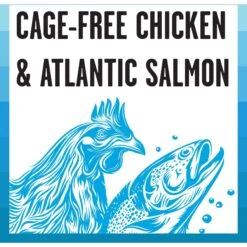 BIXBI Rawbble Dry Food Chicken Salmon Recipe For Indoor Cats, 3-lb Bag 15 BIXBI Rawbble Dry Food Chicken Salmon Recipe For Indoor Cats, 3-lb Bag -Blue Buffalo Shop 870966 PT5. AC SS1800 V1691515656