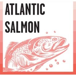 BIXBI Rawbble Dry Food Salmon Recipe For Cats, 3-lb Bag -Blue Buffalo Shop 870998 PT4. AC SS1800 V1691515598