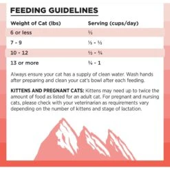 BIXBI Rawbble Dry Food Salmon Recipe For Cats, 3-lb Bag -Blue Buffalo Shop 870998 PT6. AC SS1800 V1691515537