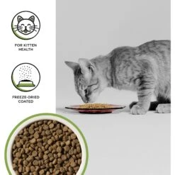 BIXBI Rawbble Dry Food Chicken Recipe For Kittens, 7-lb Bag -Blue Buffalo Shop 871046 PT2. AC SS1800 V1691515543
