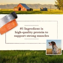 Whole Earth Farms Grain-Free Salmon & Whitefish Dry Dog Food -Blue Buffalo Shop 87371 PT3. AC SS1800 V1647907293