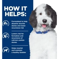 Hill's Prescription Diet C/d Multicare Urinary Care Chicken Flavor Dry Dog Food 14 Hill's Prescription Diet C/d Multicare Urinary Care Chicken Flavor Dry Dog Food -Blue Buffalo Shop 87463 PT3. AC SS1800 V1651194158