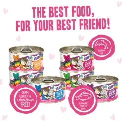 Weruva B.F.F. OMG Best Feline Friend Oh My Gravy! Tickle Me Pinks! Variety Pack Grain-Free Wet Cat Food, 2.8-oz Can, Case Of 12 -Blue Buffalo Shop 875534 PT4. AC SS1800 V1685990312