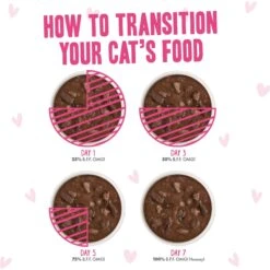 Weruva B.F.F. OMG Best Feline Friend Oh My Gravy! Tickle Me Pinks! Variety Pack Grain-Free Wet Cat Food, 2.8-oz Can, Case Of 12 -Blue Buffalo Shop 875534 PT7. AC SS1800 V1685991642