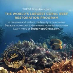 Sheba Perfect Portions Grain-Free Tender Whitefish & Tuna Entree Pate Adult Wet Cat Food Trays 15 Sheba Perfect Portions Grain-Free Tender Whitefish & Tuna Entree Pate Adult Wet Cat Food Trays -Blue Buffalo Shop 87818 PT4. AC SS1800 V1703276624