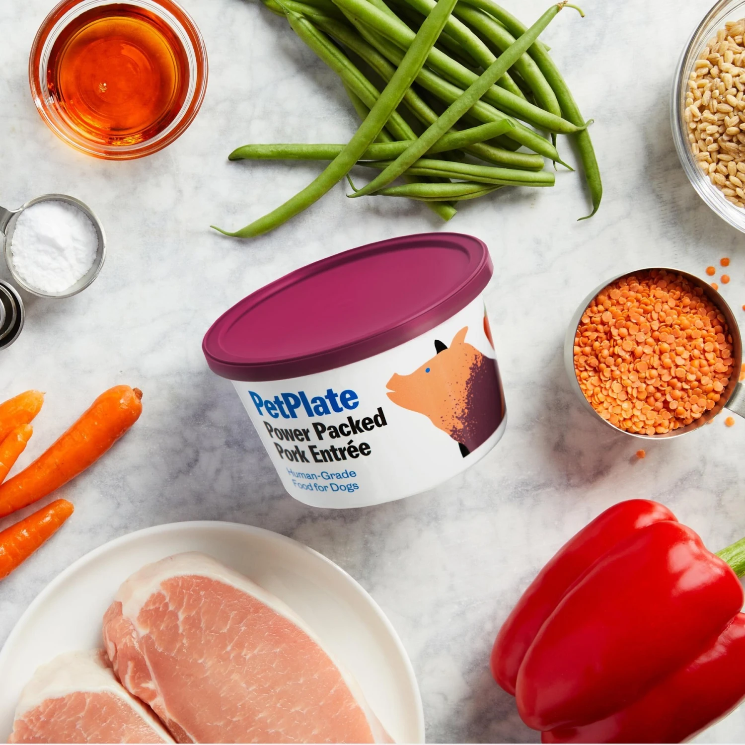 PetPlate Human Grade Care Free Coat Pork Entree Dog Food 4 PetPlate Human Grade Care Free Coat Pork Entree Dog Food - Image 2