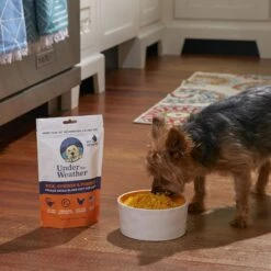 Under The Weather Rice, Chicken & Pumpkin Freeze-Dried Dog Food, 6-oz Bag, 3 Count -Blue Buffalo Shop 878734 PT6. AC SS1800 V1687201845