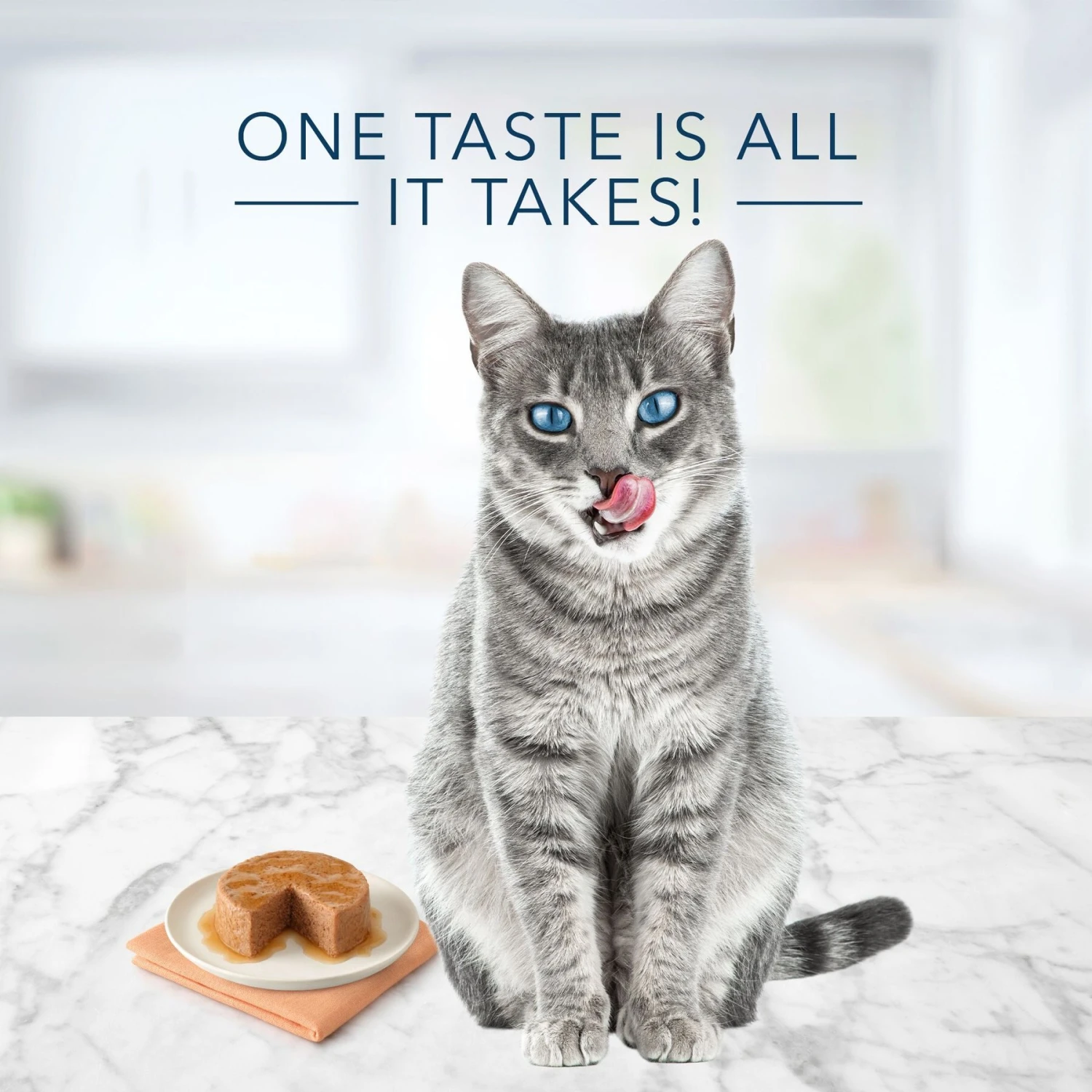 Blue Buffalo Tastefuls Natural Pate Salmon Entree Wet Cat Food, 5.5-oz Can, Case Of 12 6 Blue Buffalo Tastefuls Natural Pate Salmon Entree Wet Cat Food, 5.5-oz Can, Case Of 12 - Image 4