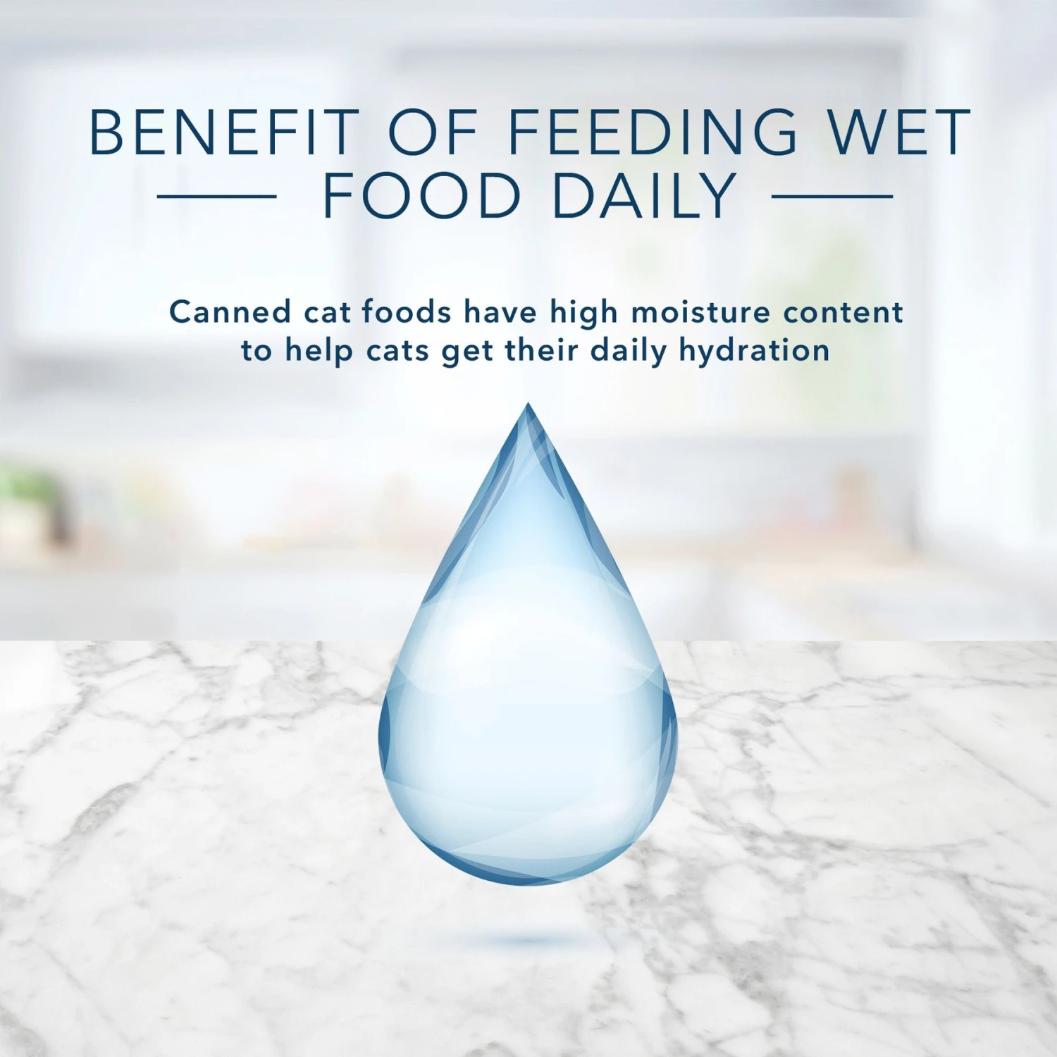 Blue Buffalo Tastefuls Natural Pate Salmon Entree Wet Cat Food, 5.5-oz Can, Case Of 12 9 Blue Buffalo Tastefuls Natural Pate Salmon Entree Wet Cat Food, 5.5-oz Can, Case Of 12 - Image 7