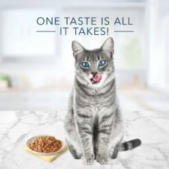 Blue Buffalo Tastefuls Natural Flaked Fish & Shrimp Entree In Gravy Wet Cat Food, 5.5-oz Can, Case Of 12 13 Blue Buffalo Tastefuls Natural Flaked Fish & Shrimp Entree In Gravy Wet Cat Food, 5.5-oz Can, Case Of 12 -Blue Buffalo Shop 879262 PT3. AC SS1800 V1687358671