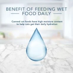 Blue Buffalo Tastefuls Natural Pate Beef Entree Wet Cat Food, 5.5-oz Can, Case Of 12 -Blue Buffalo Shop 879294 PT6. AC SS1800 V1687357997
