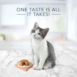 Blue Buffalo Tastefuls Natural Kitten Pate Chicken Entree Wet Cat Food Multi-Pack, 3-oz Can, Case Of 6 10 Blue Buffalo Tastefuls Natural Kitten Pate Chicken Entree Wet Cat Food Multi-Pack, 3-oz Can, Case Of 6 -Blue Buffalo Shop 879486 PT2. AC SS1800 V1694720227